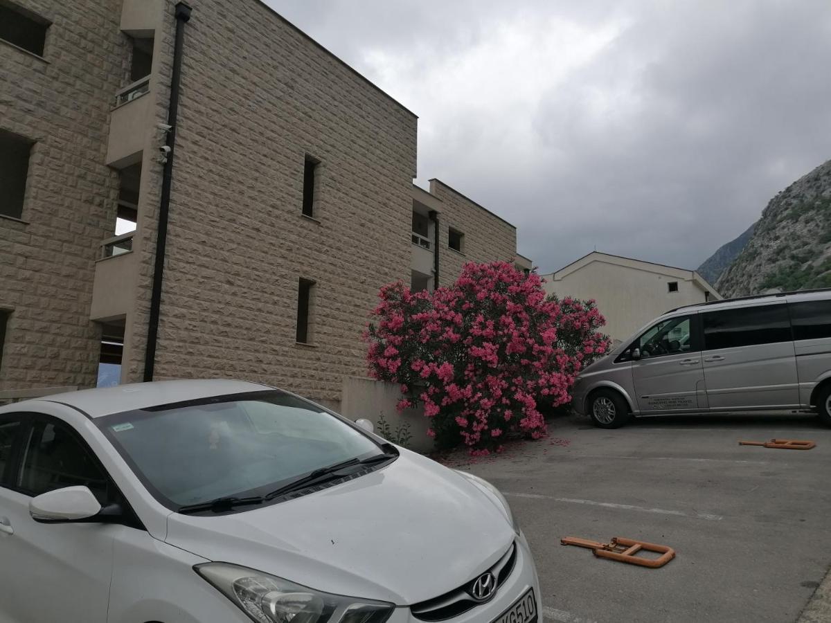 Villa Milla Kotor Extérieur photo
