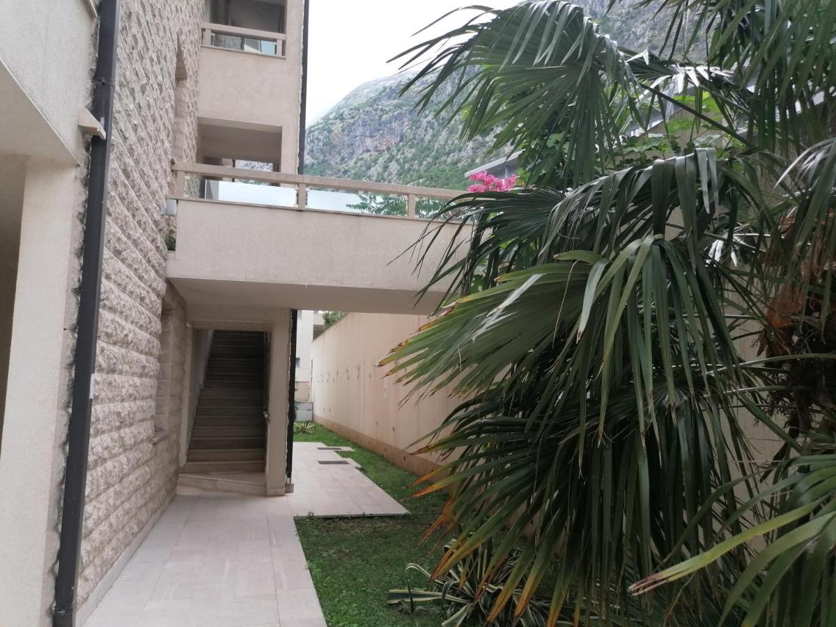 Villa Milla Kotor Extérieur photo